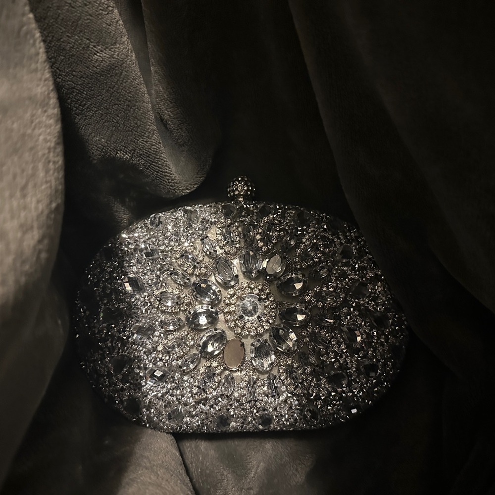 Elegant Silver Clutch
